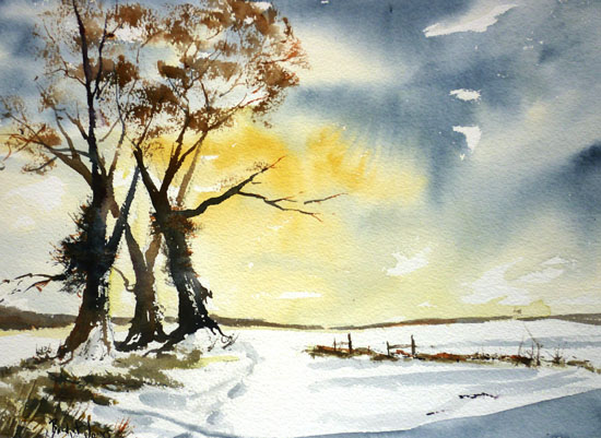 Winter sun, snow and trees